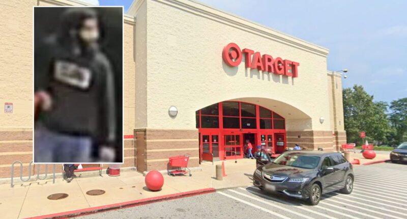 Woman, 64, walking home from Target hit and killed: Cops