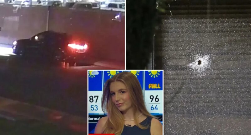 Woman accused of shooting California newsroom twice arrested with gun