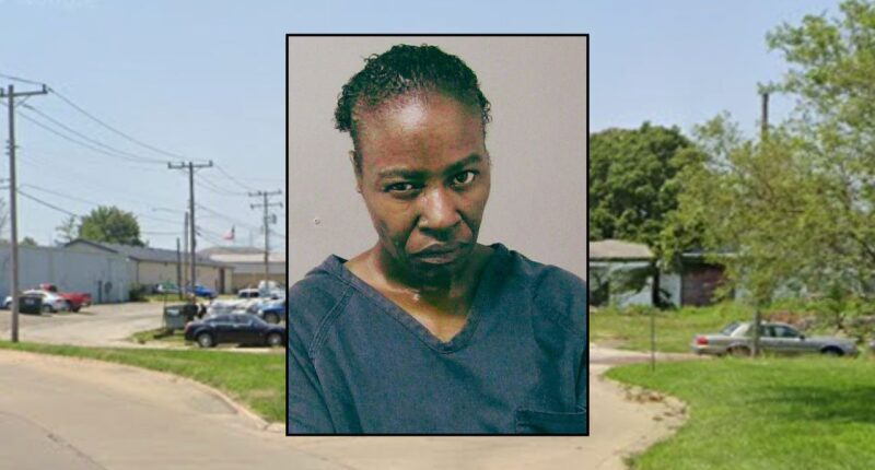 Inset: Cynthia D. Dear (Macon County Jail). Background: The area in Illinois where Dear allegedly stabbed her friend in the chest (Google Maps).