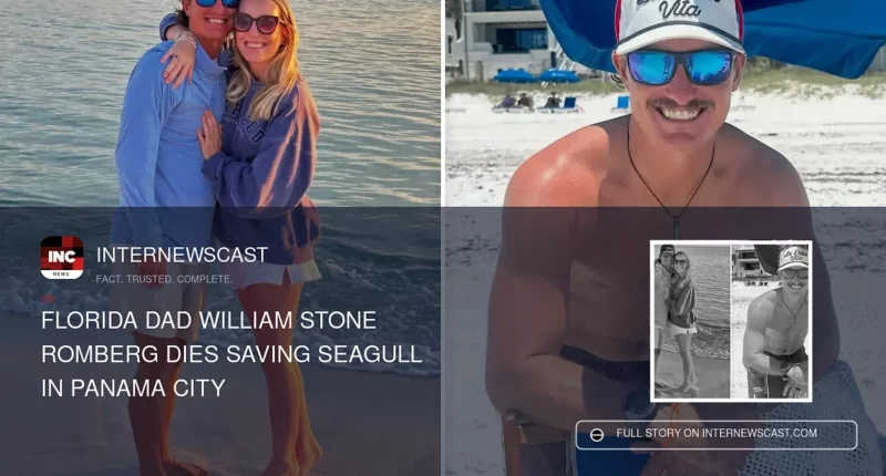 Florida Dad William Stone Romberg Dies Saving Seagull in Panama City