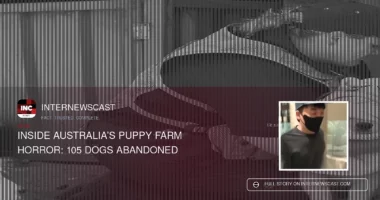 105 Dogs Abandoned