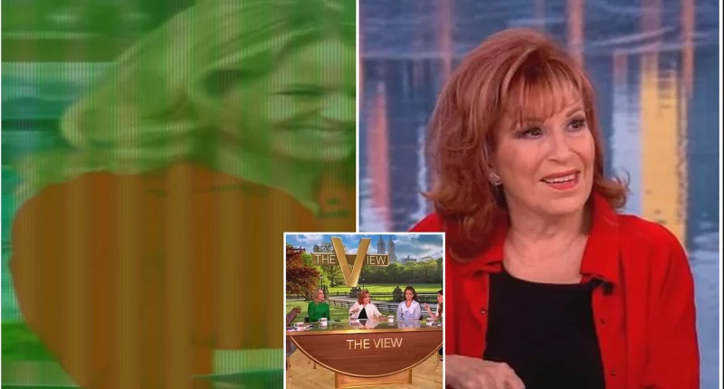 Joy Behar Returns to The View Arm-in-Arm With Sara Haines After Injury
