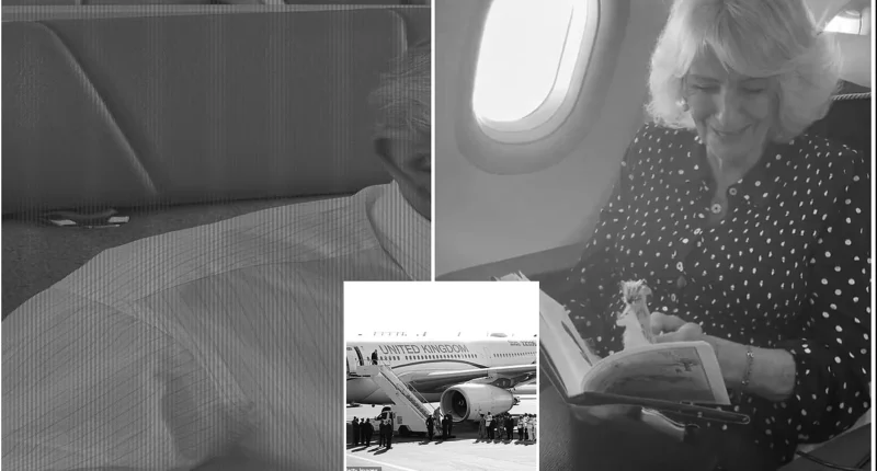 King Charles Shares Rare Look Inside UK Government Luxury Jet