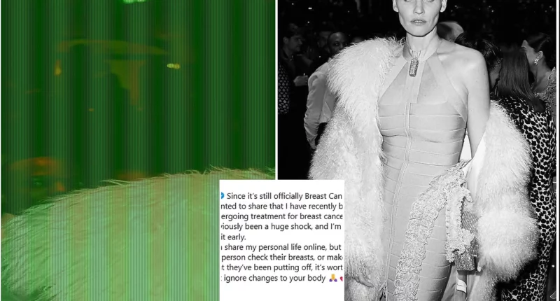 Lara Stone, 42, Reveals Breast Cancer Diagnosis