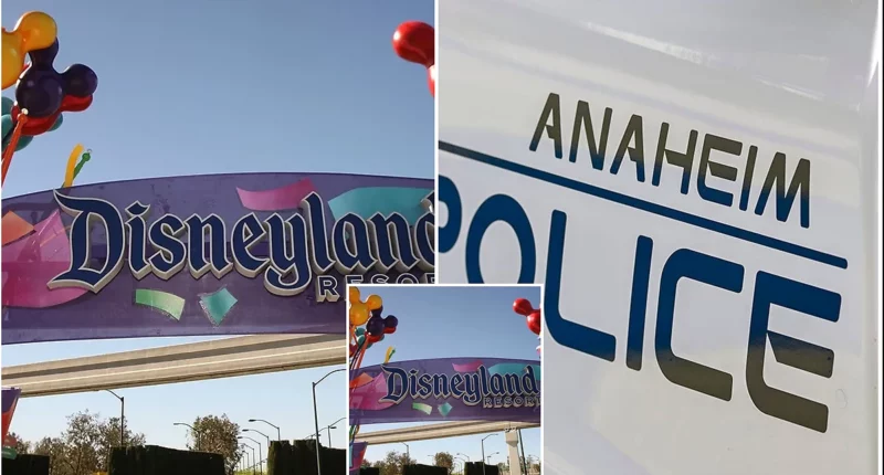 Man Found Dead on Disneyland Property Near Main Entrance