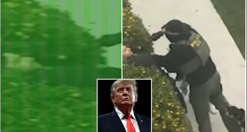 Video Shows ICE Officer Shoving Gun in Unarmed Bystander's Face