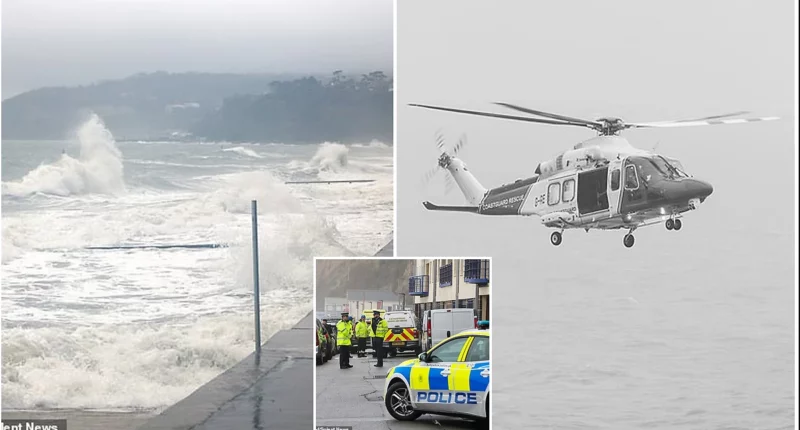 Woman Dies After Waves Sweep Her Out to Sea While Walking Dog